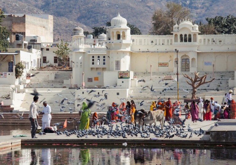 What You Need to Know to Travel North India Like a Pro