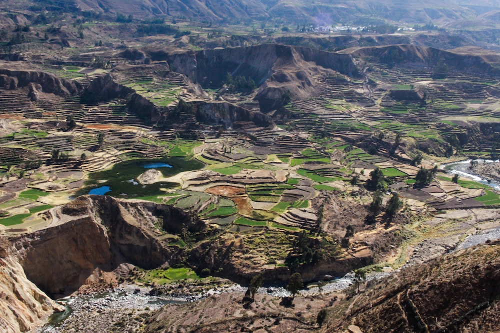 colca-valley-1-of-1