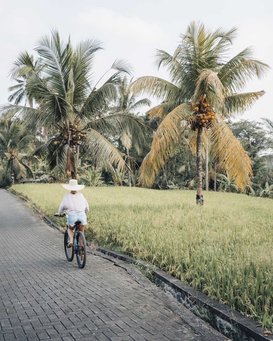 Riding bikes in Ubud, Bali through the rice paddies