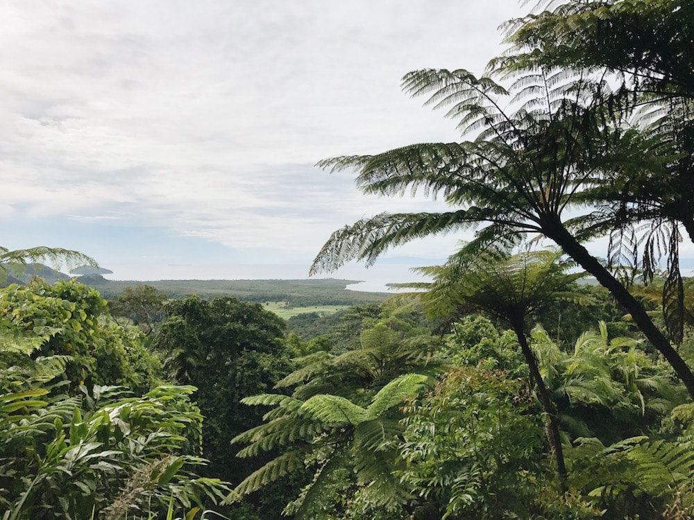 Why you should stay at the QT Hotel, Port Douglas, from www.livelikeitstheweekend.com