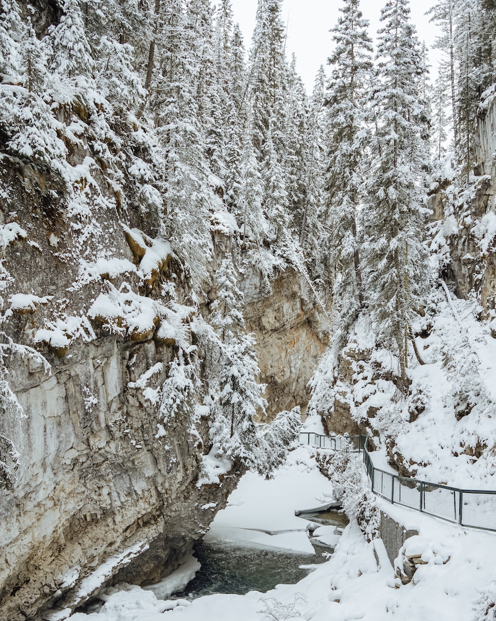 Everything You Need to Know About Visiting Banff and Jasper in Winter