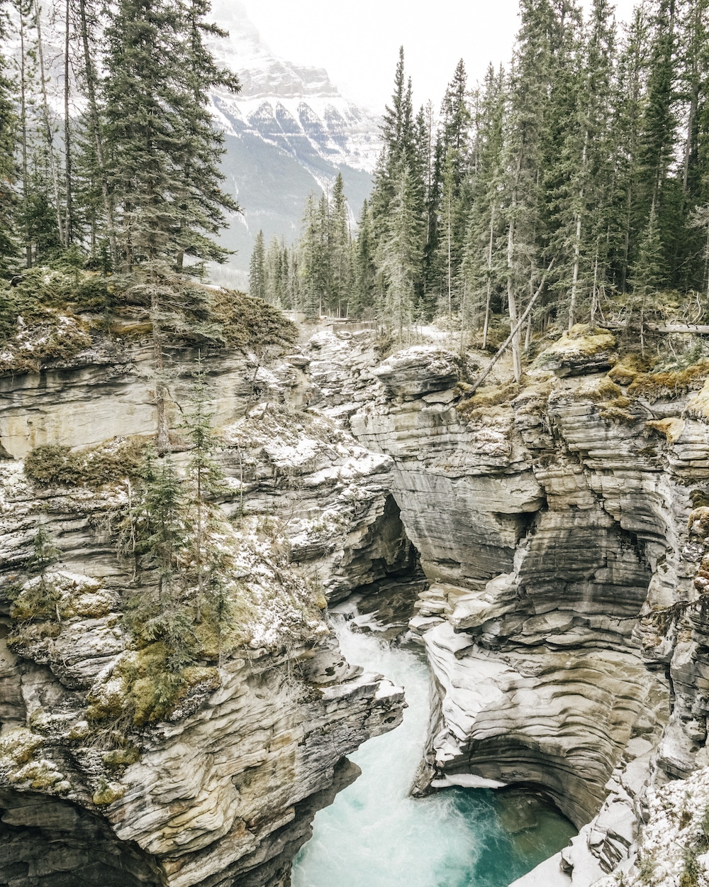 Everything You Need to Know About Visiting Banff and Jasper in Winter