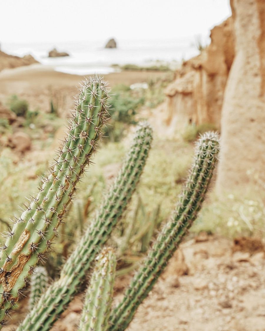 What to Expect Cruising Through the Sea of Cortez, Mexico with Offshore Outpost