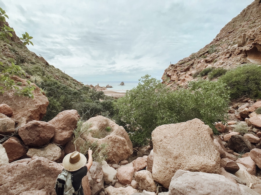 What to Expect Cruising Through the Sea of Cortez, Mexico with Offshore Outpost