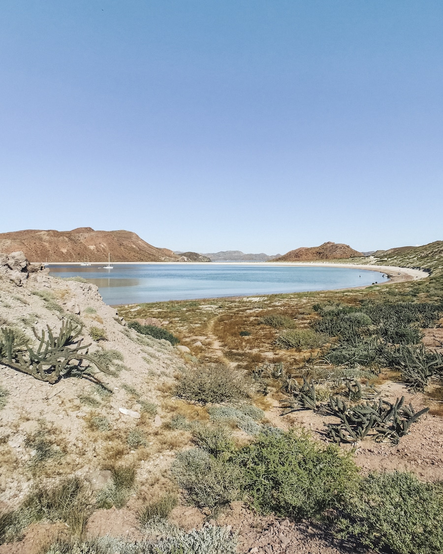 What to Expect Cruising Through the Sea of Cortez, Mexico with Offshore Outpost