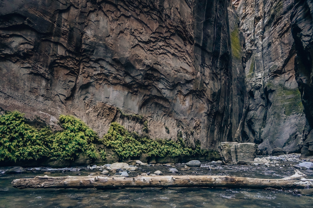 Winter Bucket List: A Guide to the Best Things to do in St. George and Zion National Park