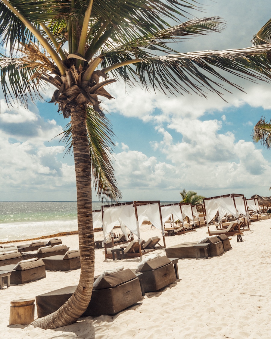 wooden sun loungers while some are covered in white cloths at the beach side with a palm tree in the foreground and blue waters under bright blue skies with clouds in the background