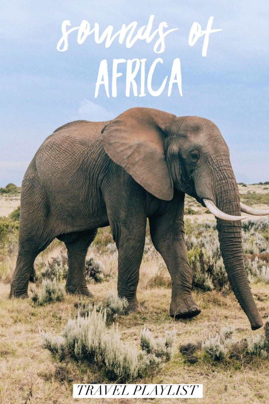 Travel Playlist: Sounds of Africa