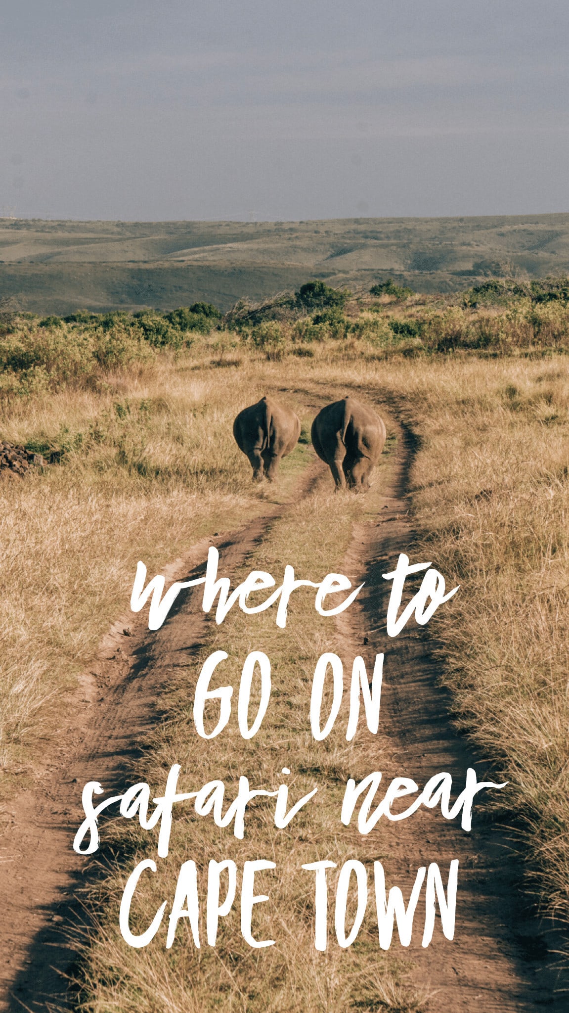 Where To Go On Safari Near Cape Town: Gondwana Game Reserve