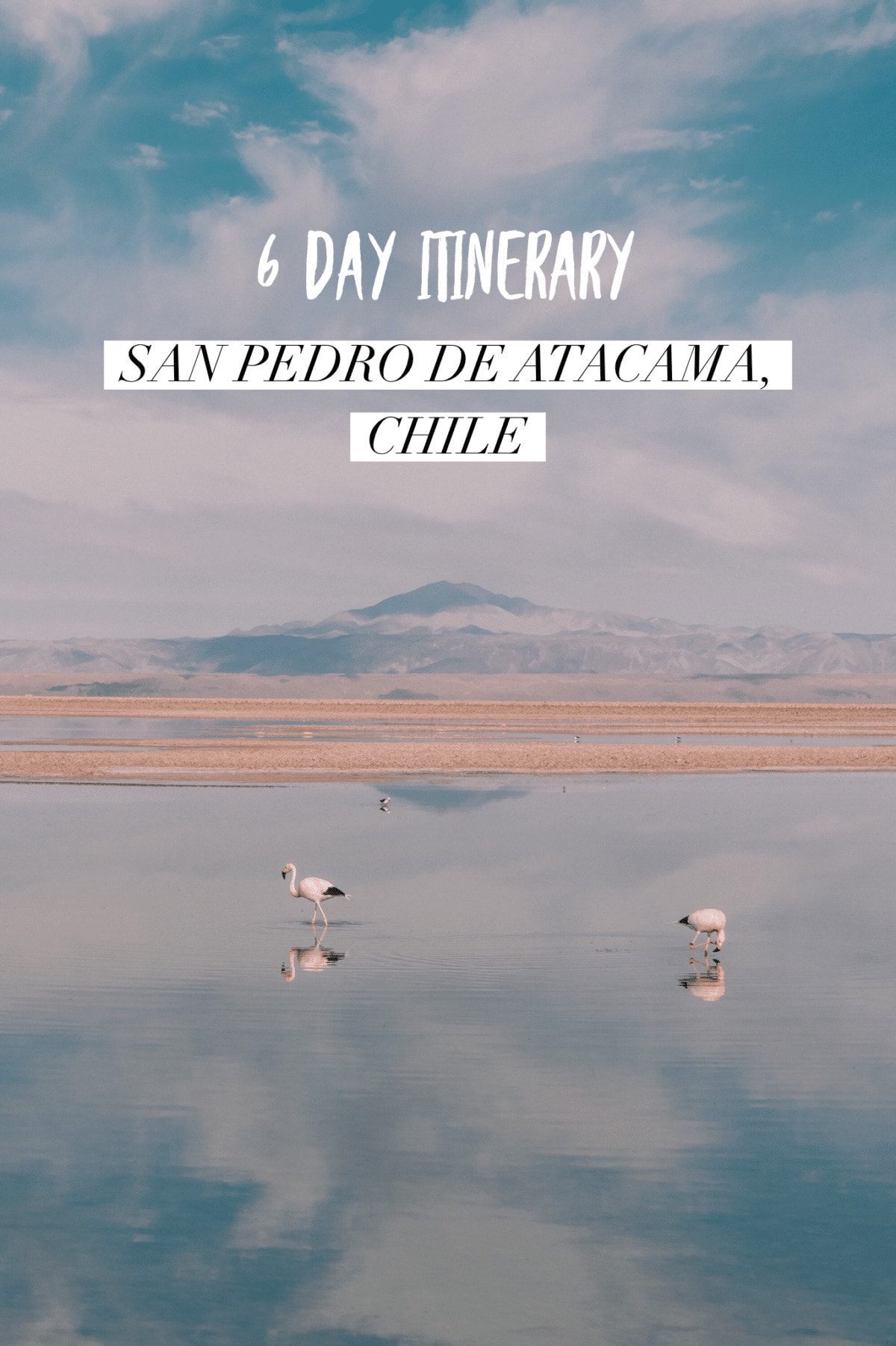 The Ultimate 6 Day San Pedro de Atacama Itinerary to Avoid Altitude Sickness | Atacama Desert Itinerary | Altitude sickness Chile | San Pedro de Atacama, Chile | How to get to San Pedro de Atacama | Chaxa Lagoon | Flamingos Chile | Driest place on Earth | Chile travel tips | Chile travel itinerary | South America travel tips | Where to go in South America | Where to go in Chile | Where to go in San Pedro de Atacama | Best things to do in San Pedro de Atacama | Top desert vacations | Best South America trips |