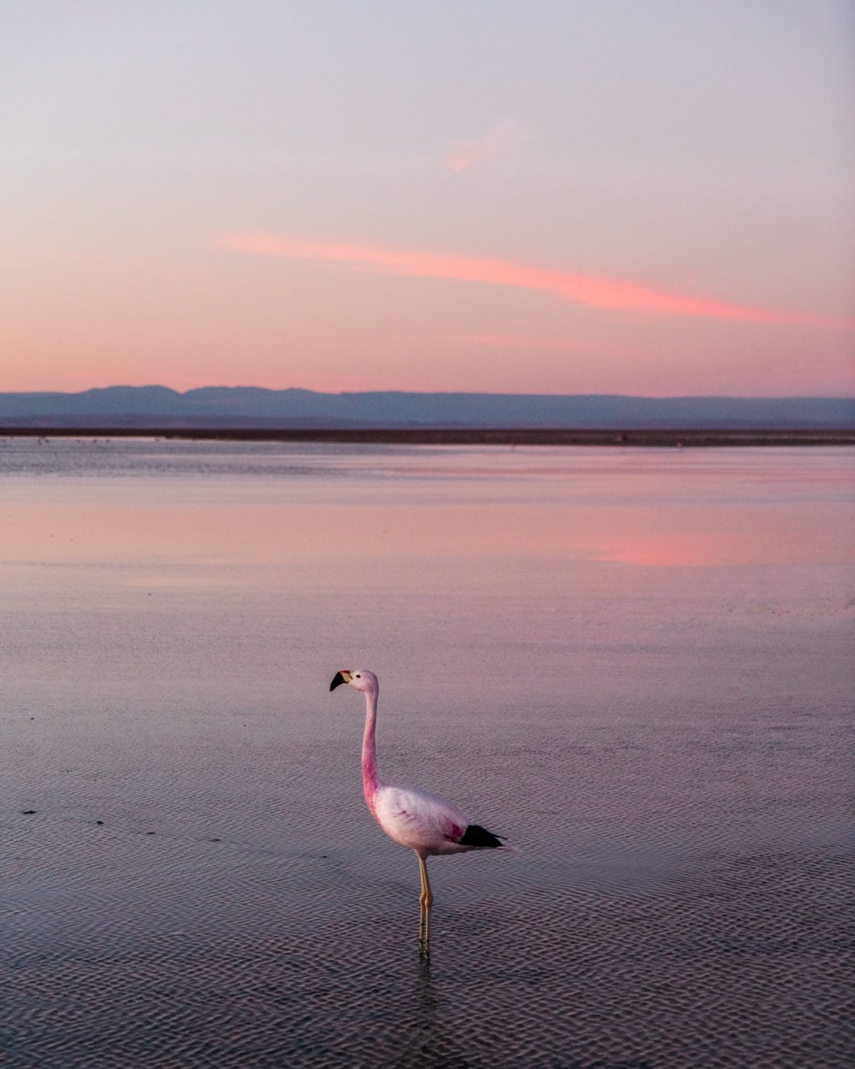 Tierra Atacama Review: Staying at One of the Atacama Desert's Top Luxury Hotels