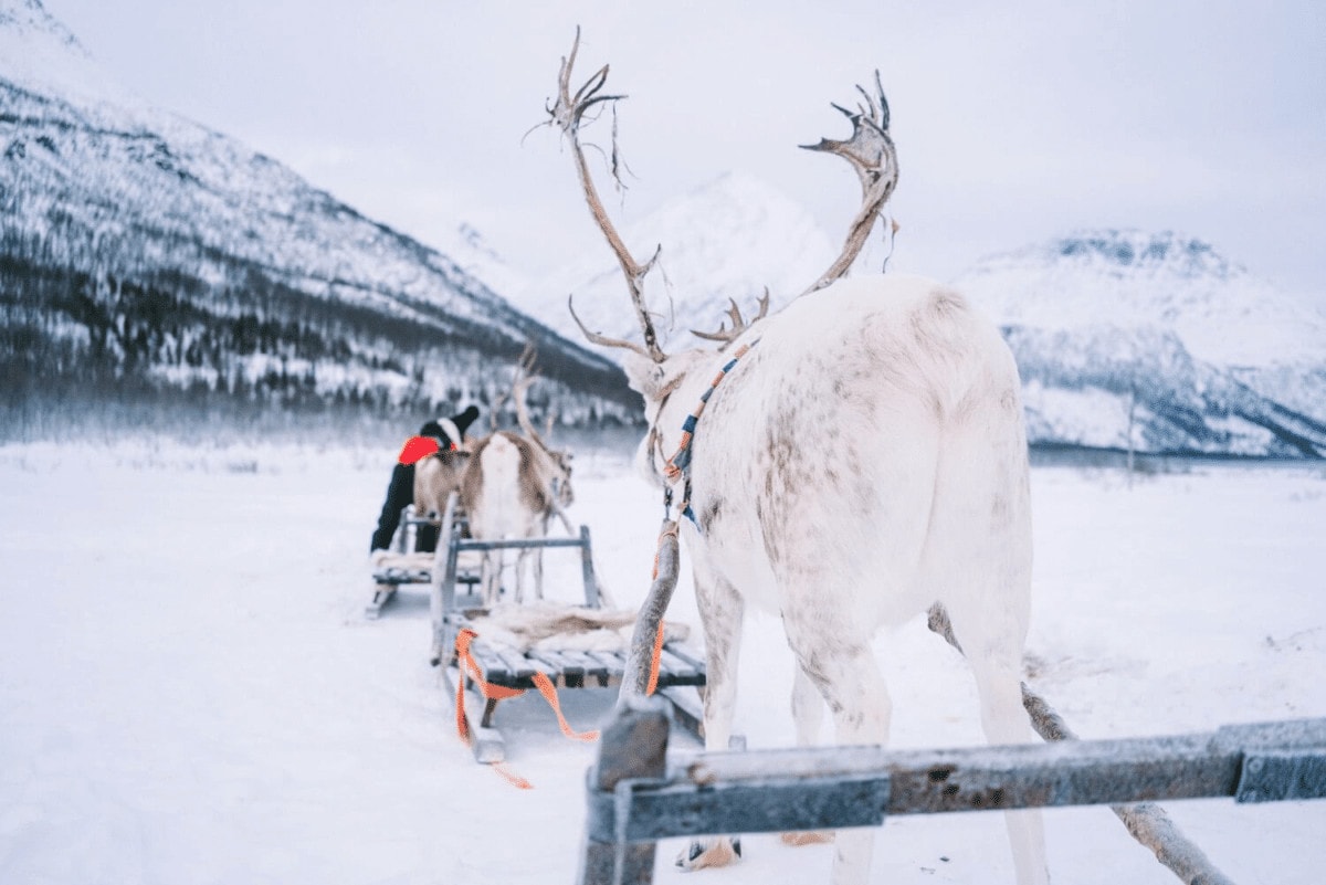 What it's Actually Like to Visit Norway in Winter (Spoiler Alert: The Sun Doesn't Rise)! Visiting Norway in Winter | Where to see the Northern Lights | Norway in December | Christmas in Norway | Polar Night | Arctic Circle in Winter | Where the sun doesn't rise | How dark is Norway in winter | What to do in Norway winter | 