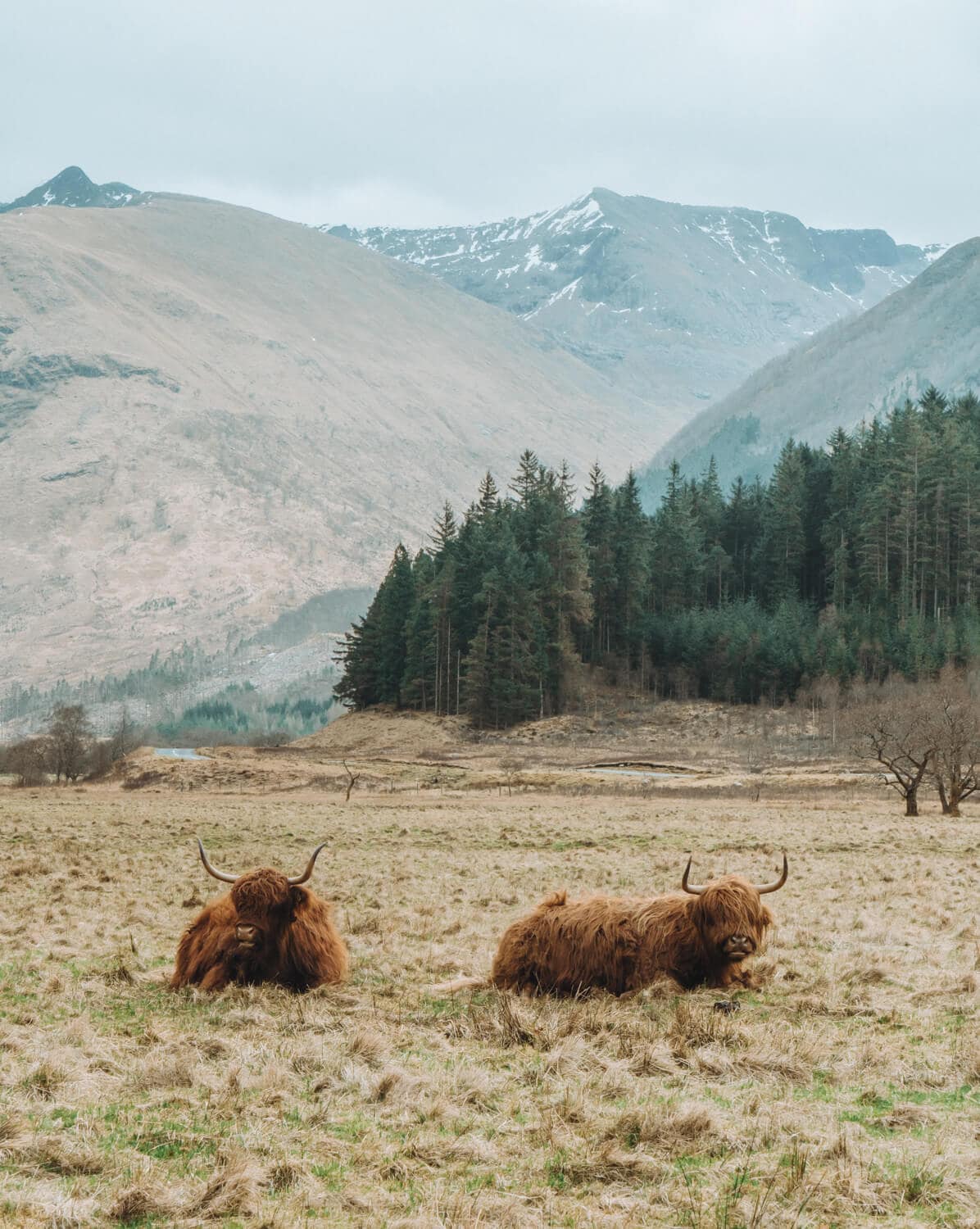 Scottish Highlands – Travel guide at Wikivoyage