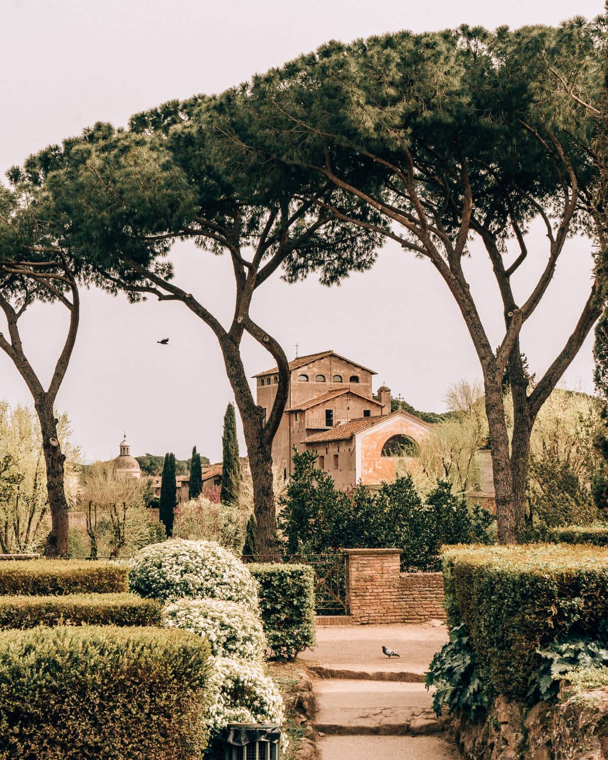 The 10 Best Photography Spots in Rome You Need to Visit - Live Like It ...