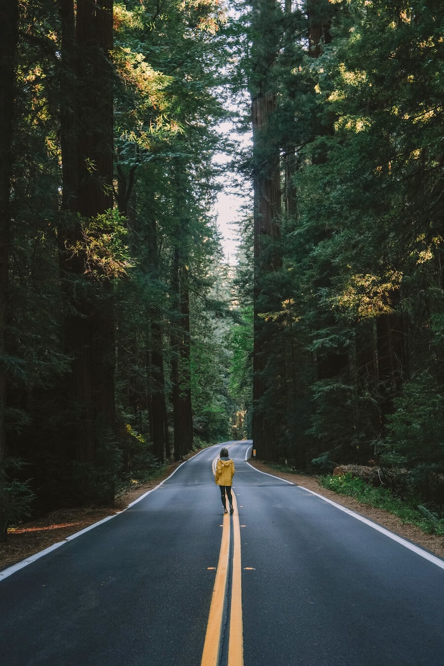 Ultimate Northern California Road Trip Guide