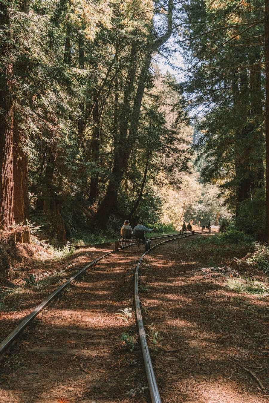 Ultimate Northern California Road Trip Guide