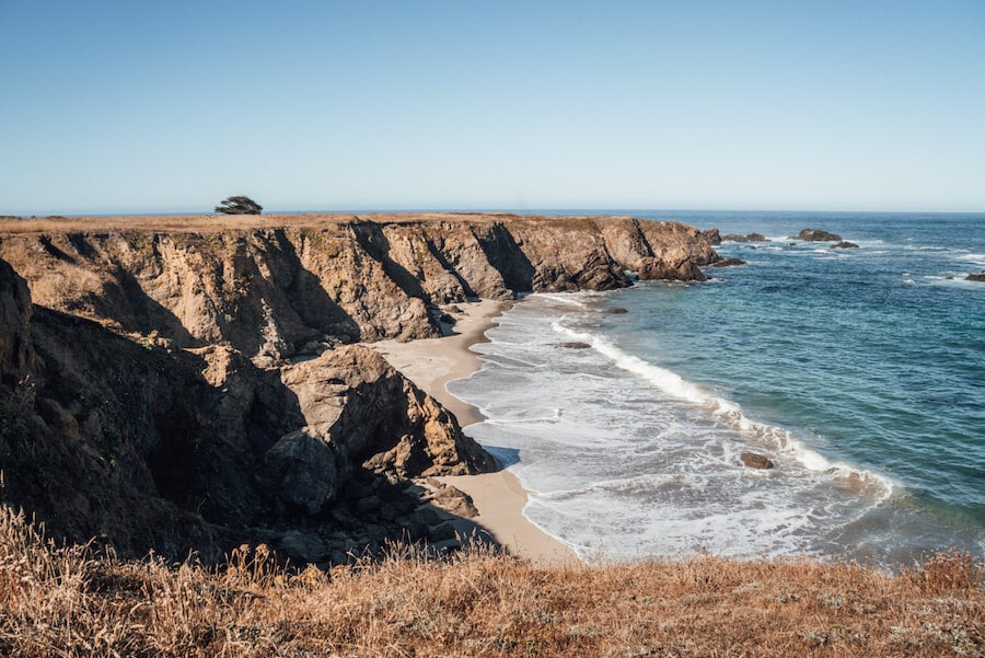 A 15-Mile Stretch of California's Coast Is Currently Glowing Neon