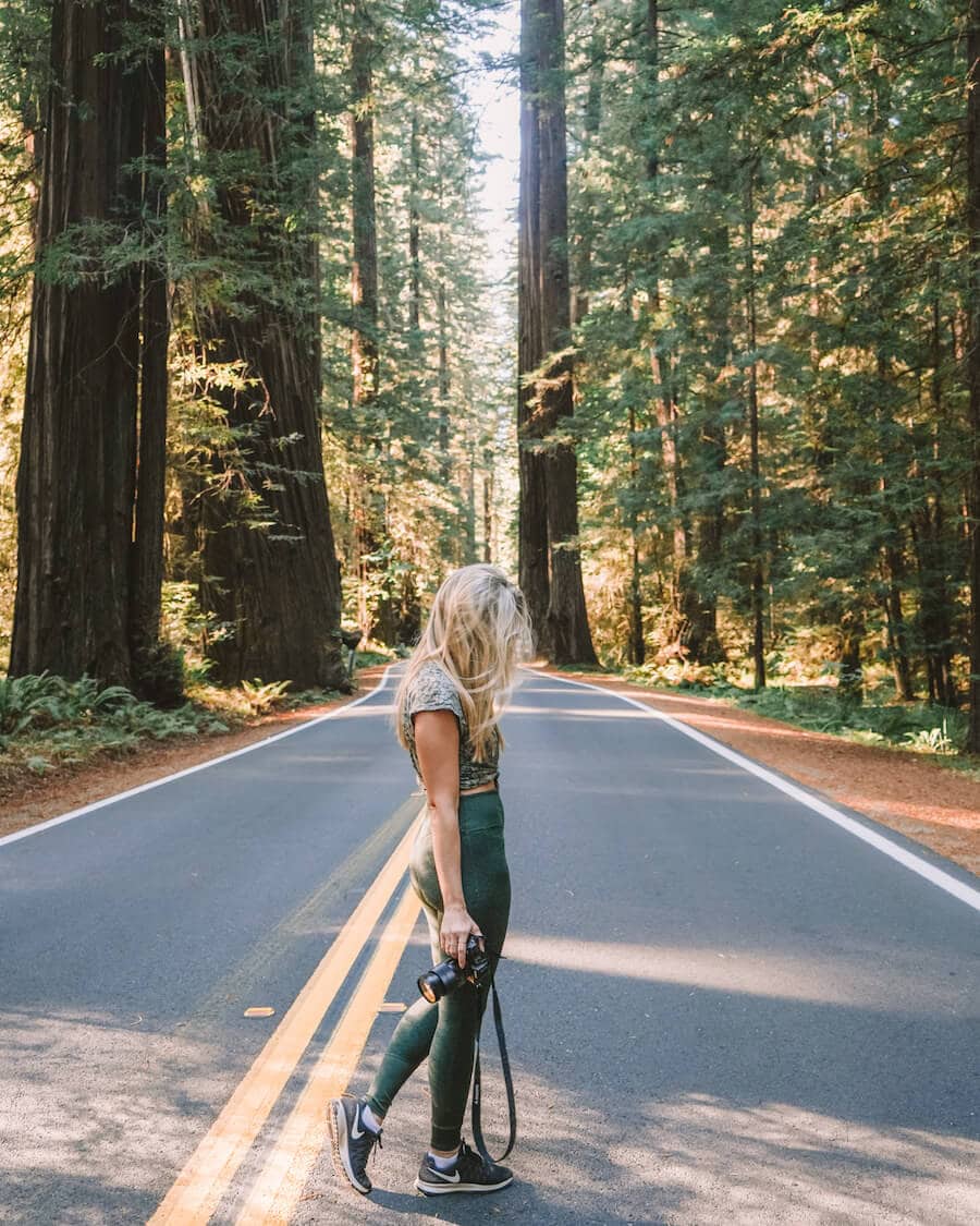 Ultimate Northern California Road Trip Guide