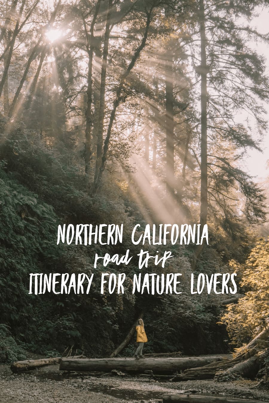 Ultimate Northern California Road Trip Guide