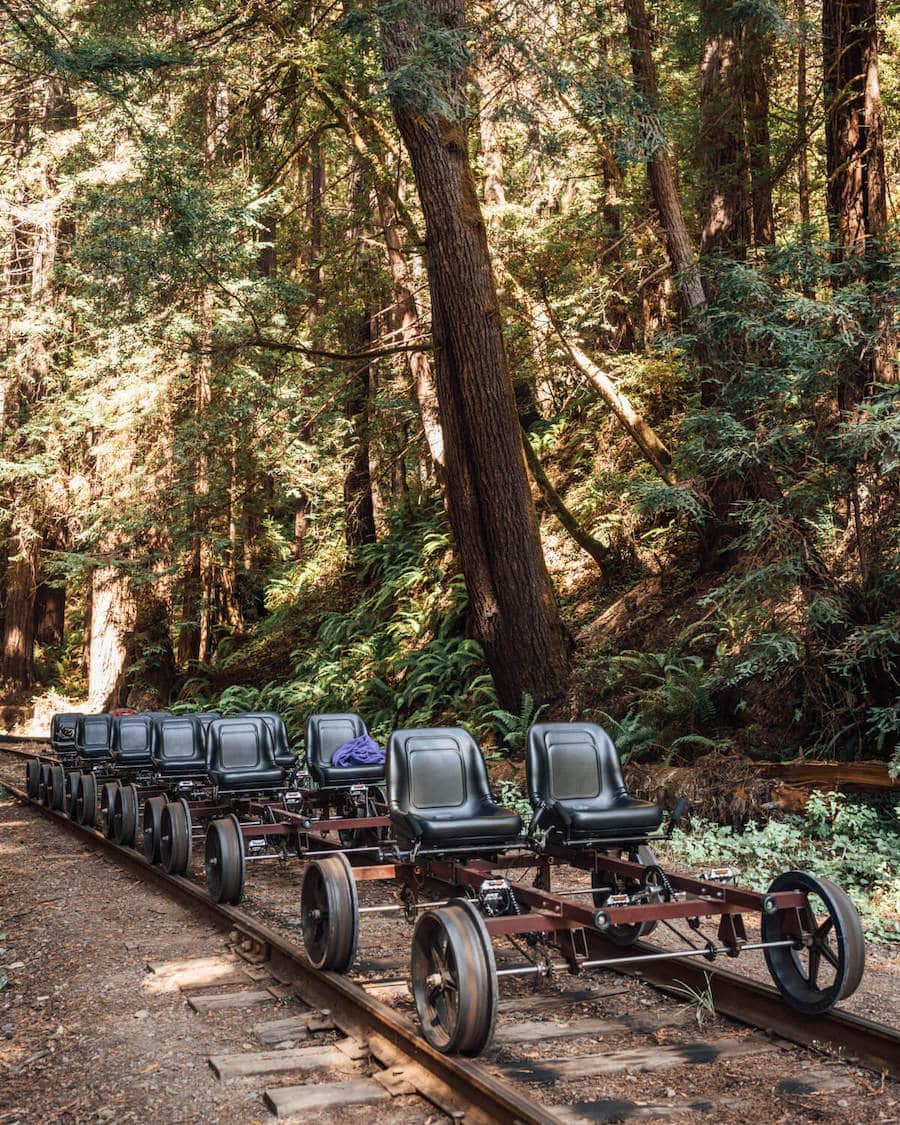 11 Can't-Miss Things to Do in Mendocino, California