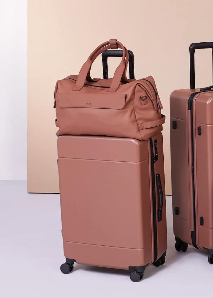 Best Luggage Deals: Save on Luggage at Calpak, Monos, Samsonite and More -  CNET