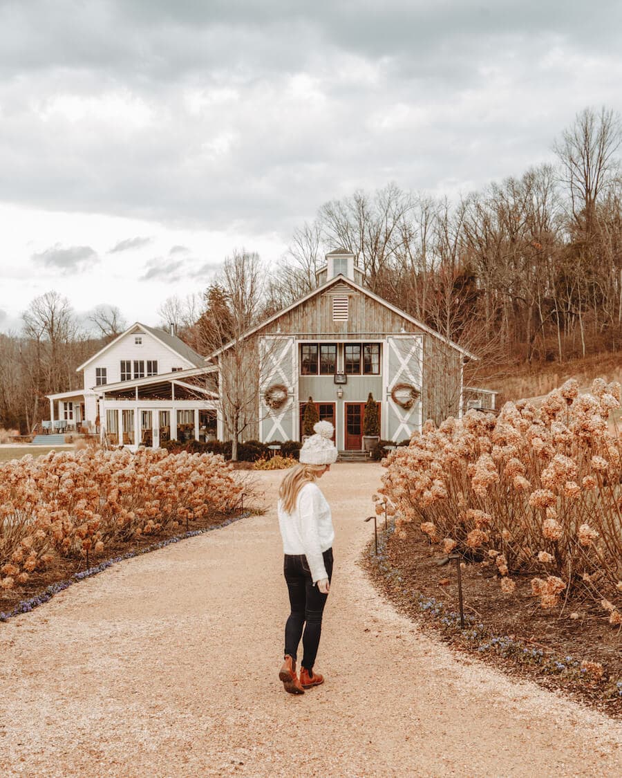 Pippin Hill Farms and vineyard, Charlottesville, VA