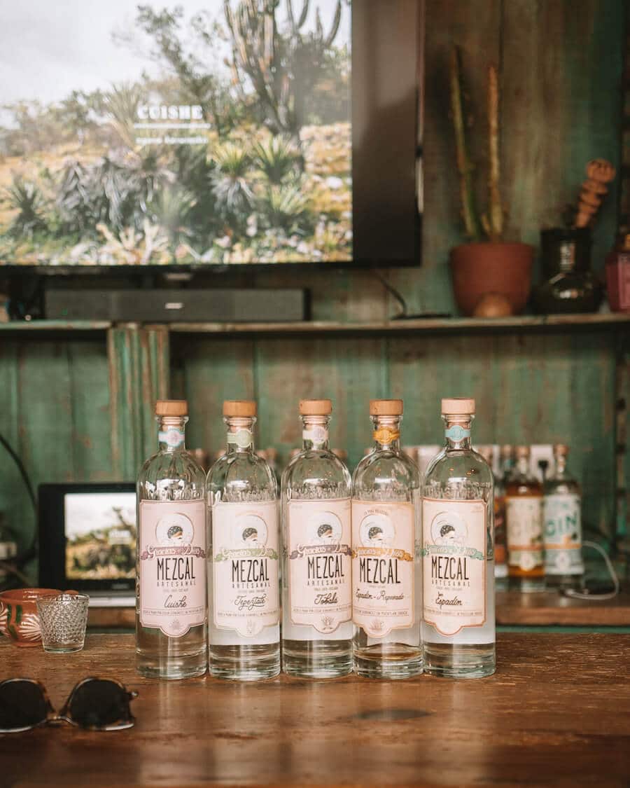 Oaxaca'daki Gracias a Dios'ta Mezcal tadımı