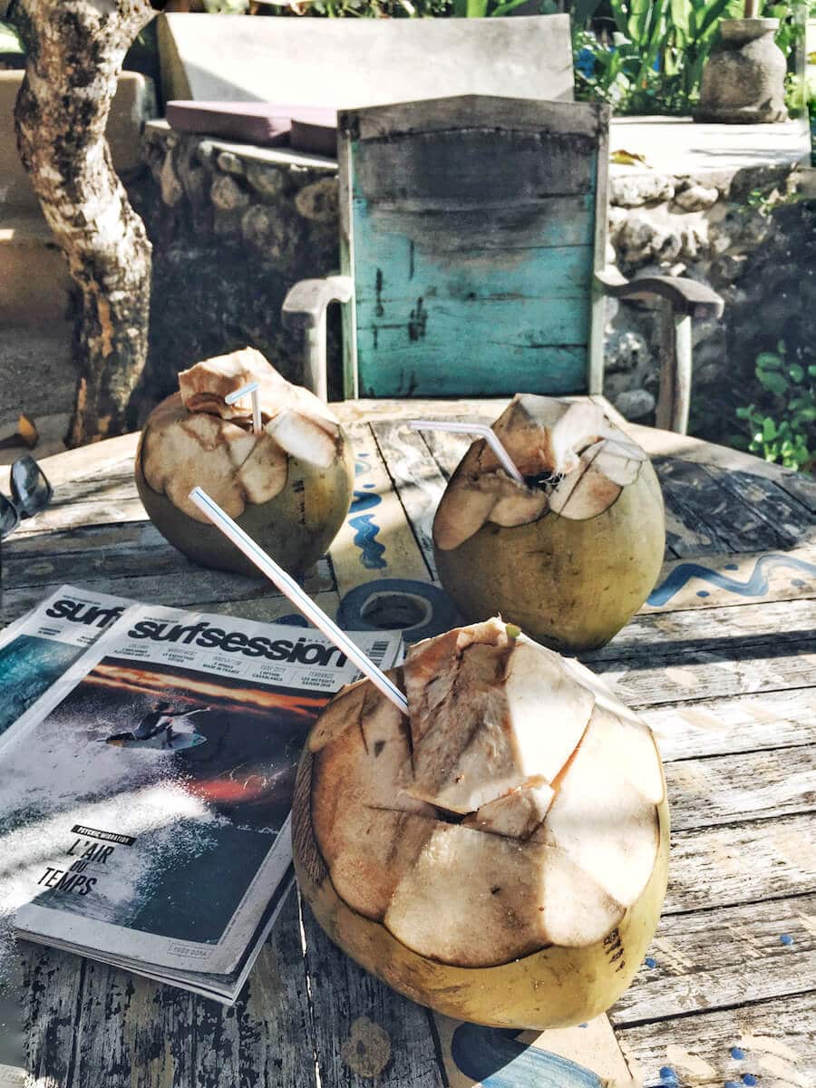 Coconuts in Bali, California