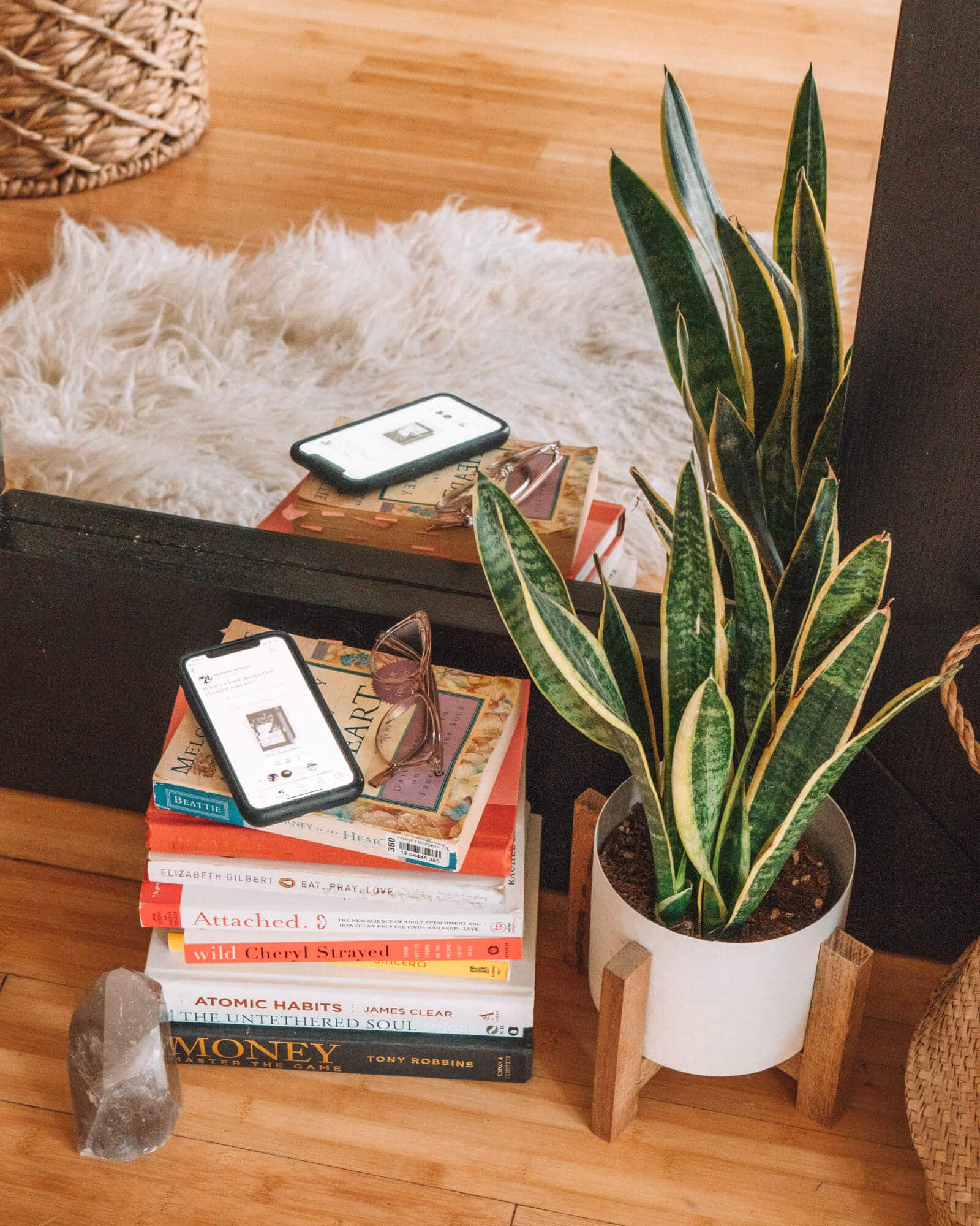 Stack of books next to a snake plant
