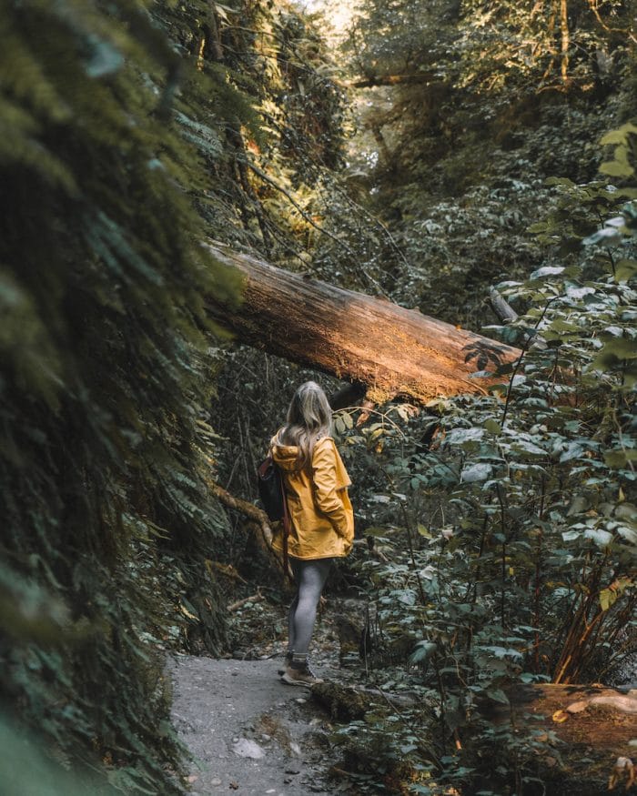 Michelle Halpern of Live Like it's the Weekend in a yellow jacket at Fern Canyon