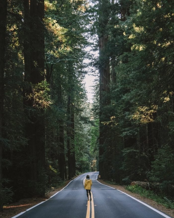 Girl in yellow jacket standing in the road at Avenue of the Giants