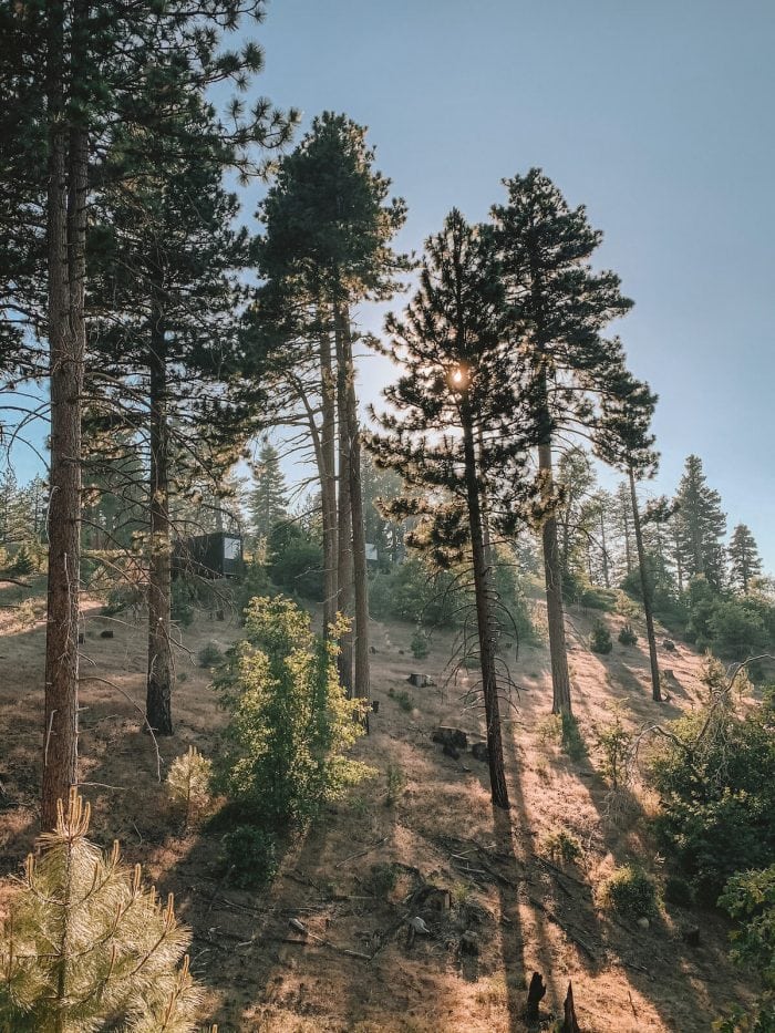 Getaway cabins hiding amongst the trees in Big Bear