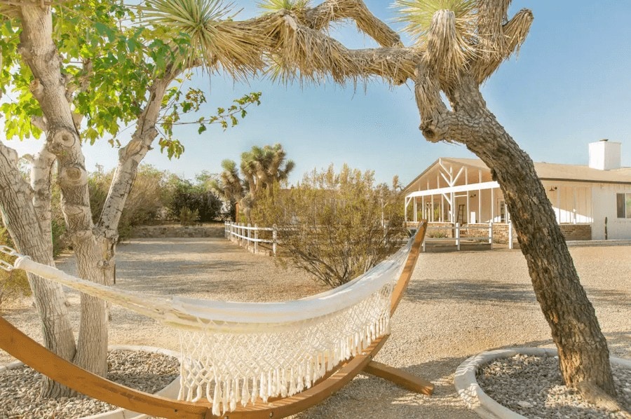 Hammock at the Habibi House