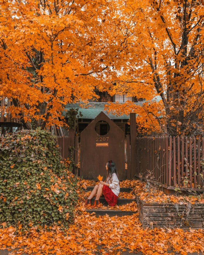 Orange leaves during autumn in Arkansas