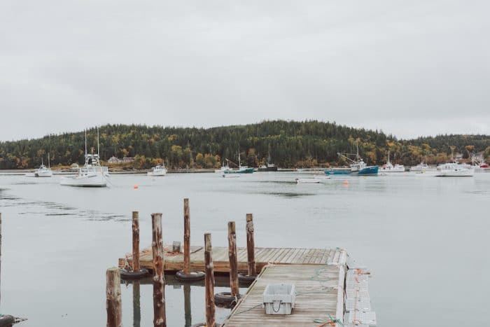 Fall season in Maine