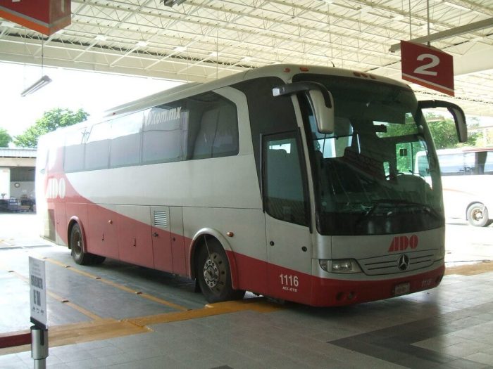 Red and gray ADO bus