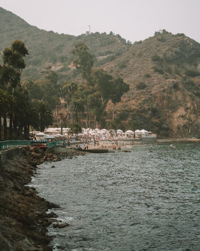 What to do in Catalina - Descanso Beach Club, Catalina