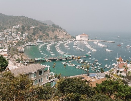 Bird's eye view of Avalon Bay