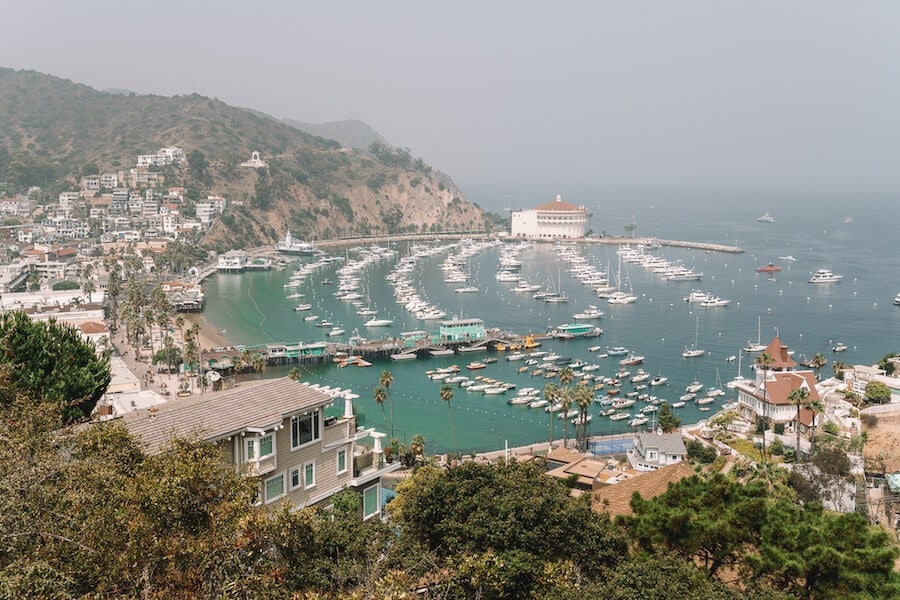 Bird's eye view of Avalon Bay