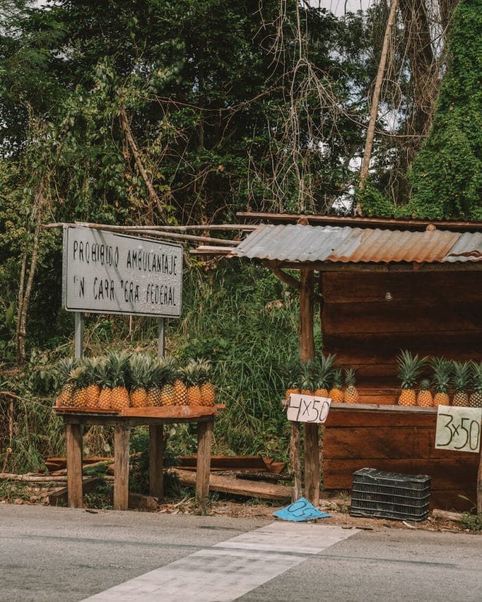 Pineapple stand on the way to the Bacalar Lagoon