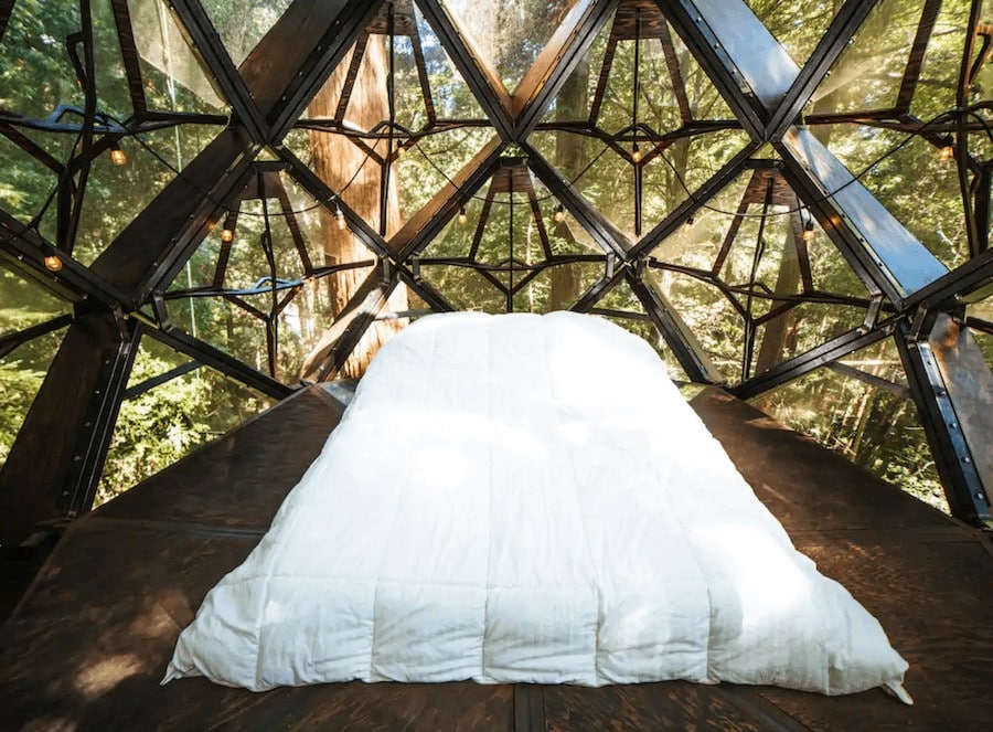 Bedroom in pinecone treehouse