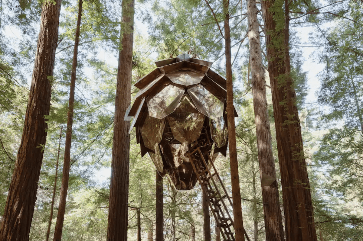 The pine cone tree house viewed from below