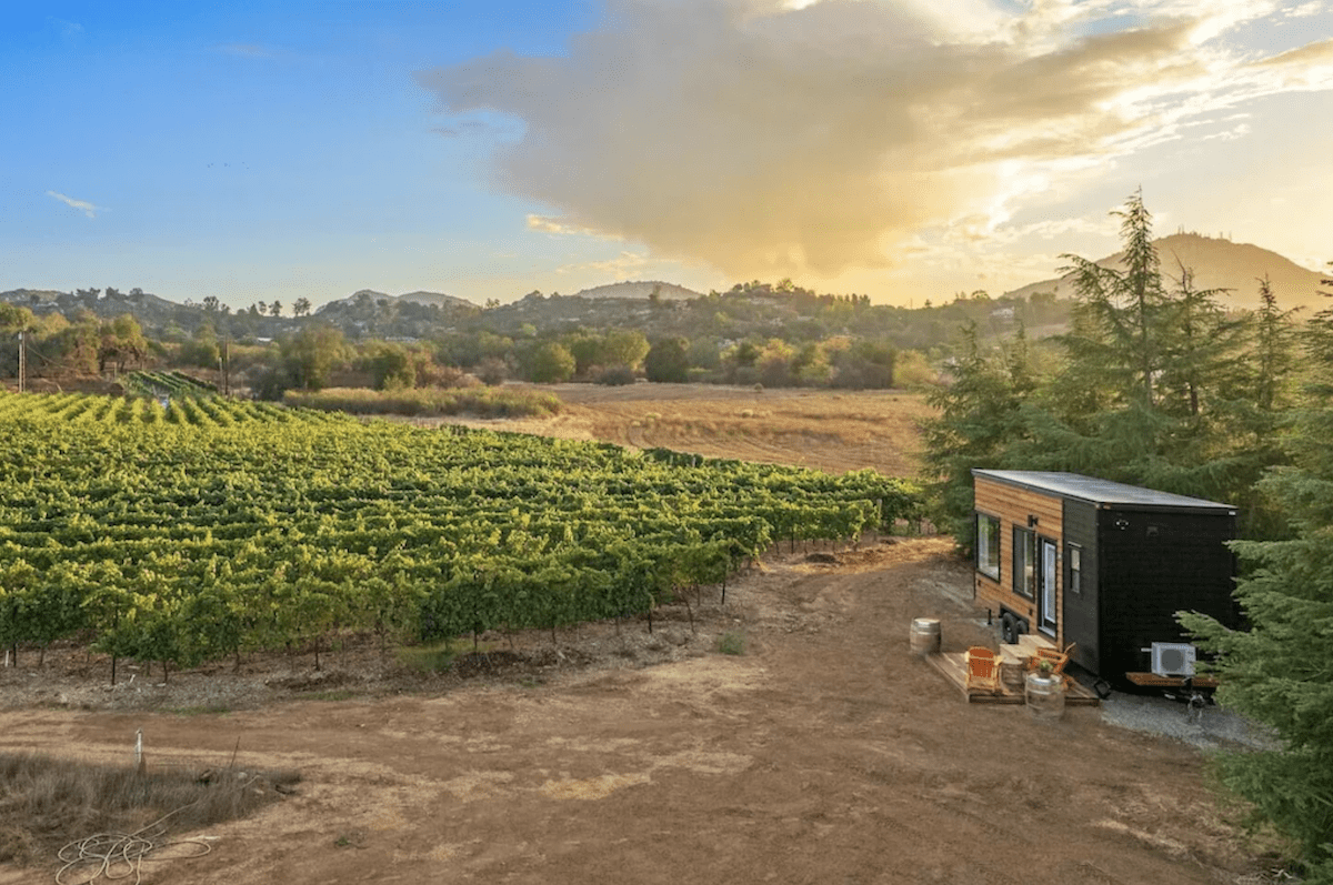 Tiny home located on a property with vineyard vines