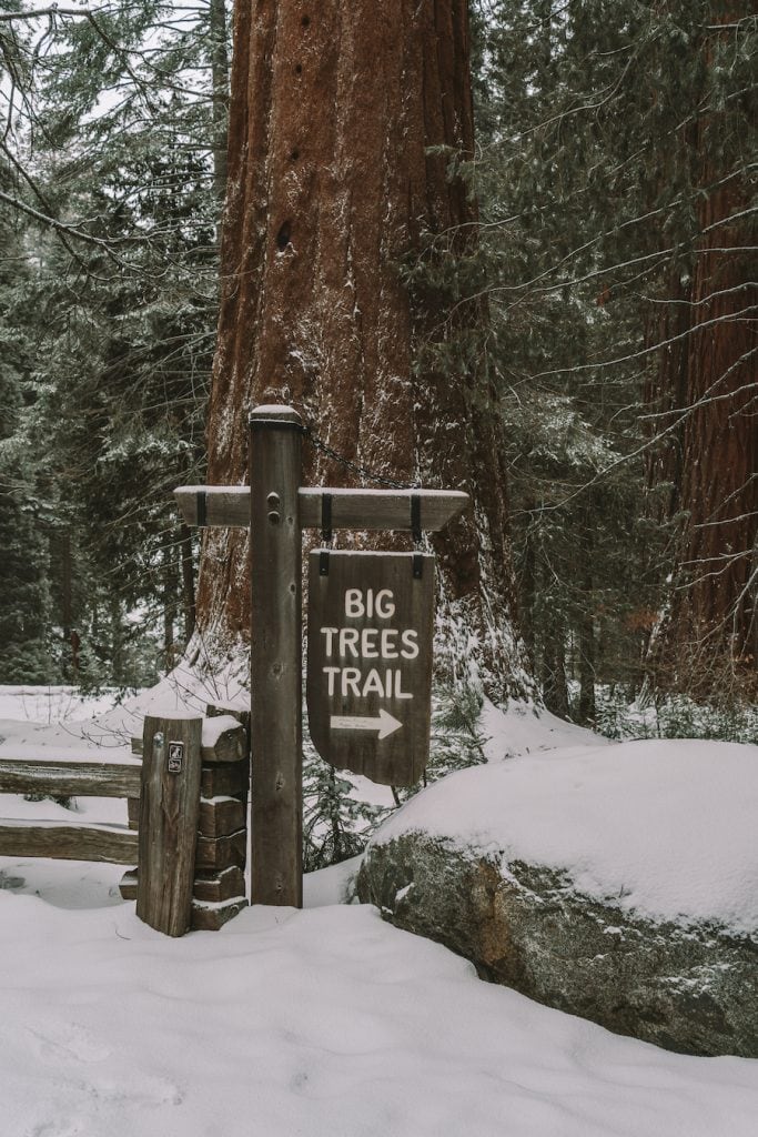 Big Trees Trail sign in Sequoia National Park