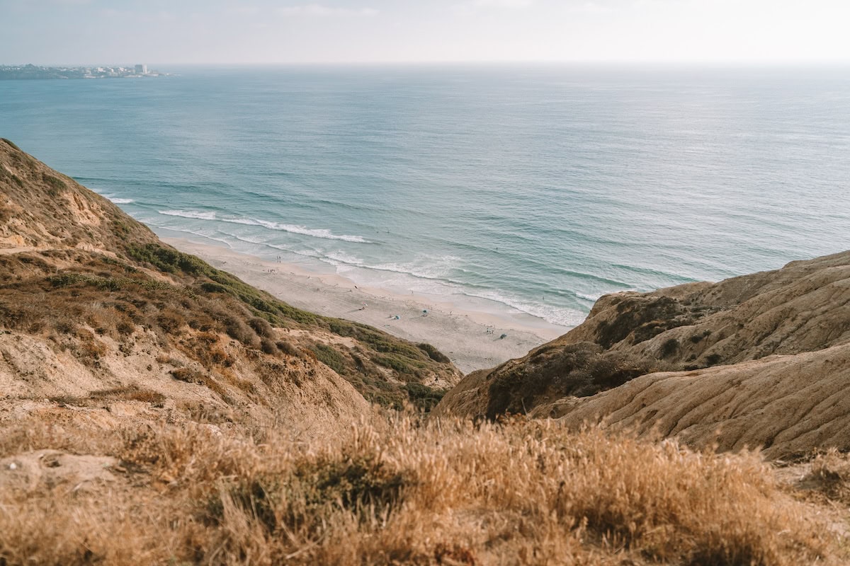 View from high up in Torrey Pines looking down at the trails that lead to the ocean. 