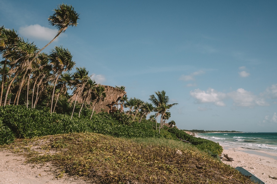 Beachside rooms with thatched roofs