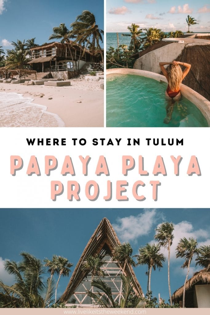 Pin cover Papaya Playa project