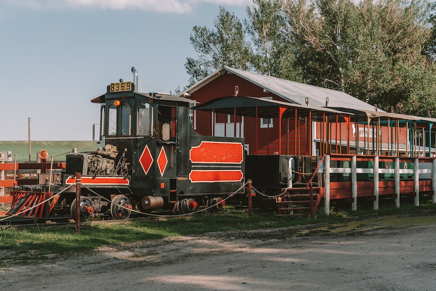 Terry's Bison Ranch