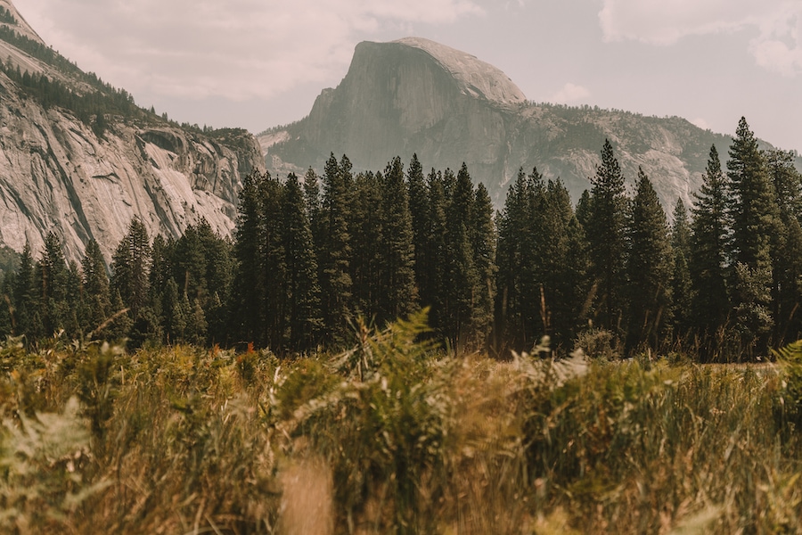 Cook's Meadow in Yosemite National Park