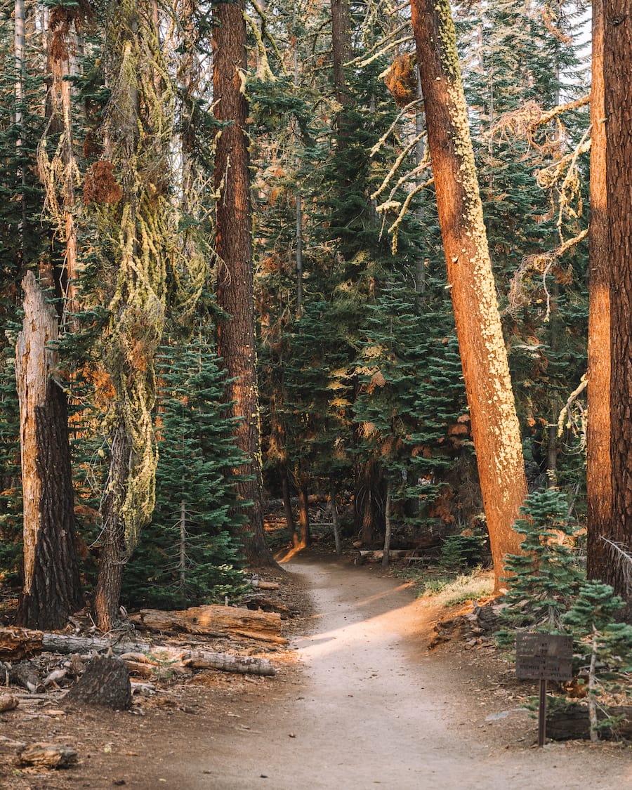 Walking the trail to Taft Point in Yosemite National Park